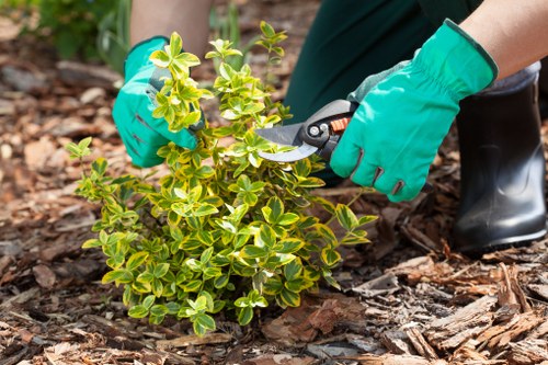 Investigator reviewing garden work documents on-site