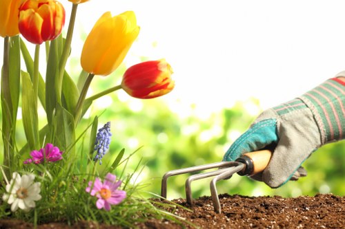 Custom garden design by Gardeners Beckenham