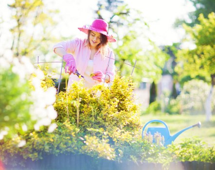 Sustainable gardening practices in a Beckenham landscape garden