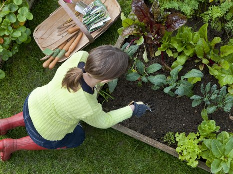 Stunning outdoor space created by Gardeners Beckenham