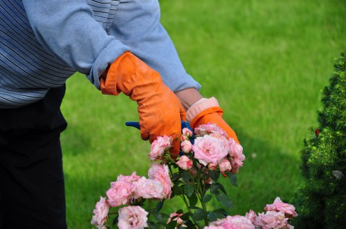 Surveyor taking photos for a free garden quote in a local property