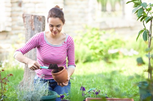Community gardens in Beckenham with diverse plant species